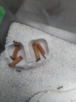 1000071764.jpg