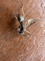 IMG_9752.jpeg