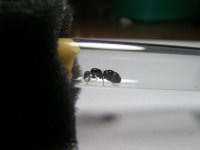 100_3128.JPG