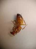 görsel_2026-07-25_002452212.png