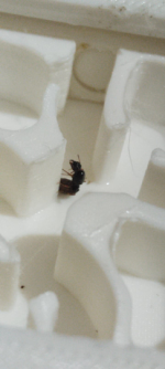 görsel_2026-07-25_070442857.png