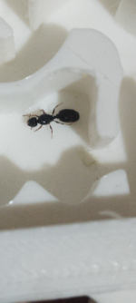 görsel_2026-07-25_070519994.png