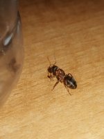 IMG_20260725_074544.jpg