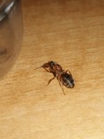 IMG_20260725_074525.jpg