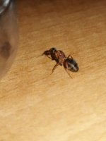 IMG_20260725_074531.jpg