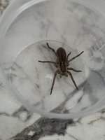 IMG_1653.jpeg