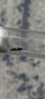 IMG_1134.jpeg