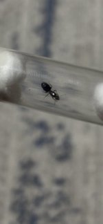 IMG_1135.jpeg