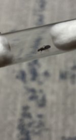 IMG_1136.jpeg