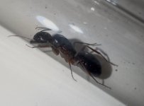 IMG_6325.jpeg