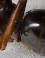 IMG_6322.jpeg