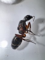 IMG_5649.jpeg