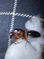 IMG_5641.jpeg