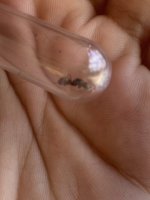 IMG_3636.jpeg