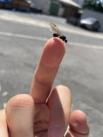 IMG_1687.jpeg