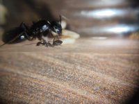 görsel_2026-07-26_211007437.png