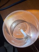 IMG_0559.jpeg