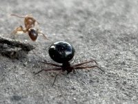 IMG_0866.jpeg