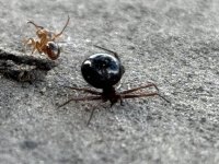 IMG_0865.jpeg