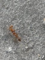 IMG_0873.jpeg