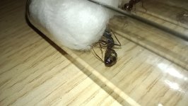 IMG_20260726_231912.jpg