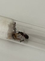 IMG_5903.jpeg