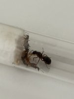 IMG_5902.jpeg