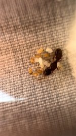 IMG_0416.jpeg