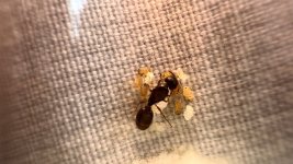IMG_0414.jpeg