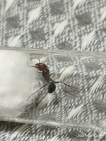 MVIMG_20260727_210907.jpg