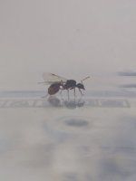 IMG-20260727-WA0020.jpg