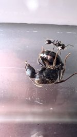 IMG_0436.jpeg