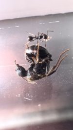 IMG_0433.jpeg