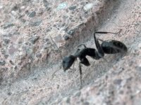 IMG_0878.jpeg