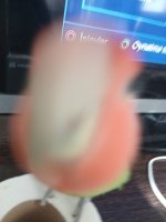 12488.jpg