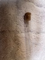 IMG_4103.jpeg