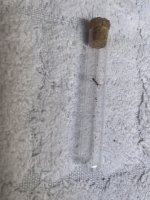 IMG_4112.jpeg