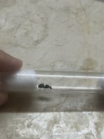 IMG_9953.jpeg
