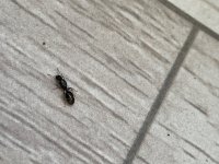 IMG_3588.jpeg