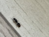 IMG_3589.jpeg