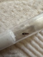 IMG_5765.jpeg