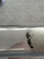 IMG_5771.jpeg