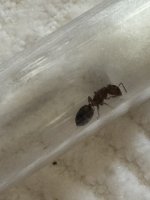 IMG_5766.jpeg