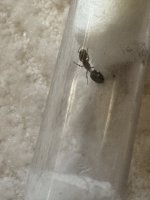 IMG_5768.jpeg