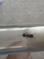 IMG_5769.jpeg