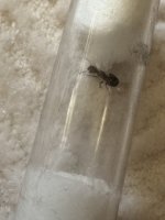 IMG_5767.jpeg