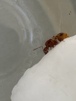 IMG_3386.jpeg