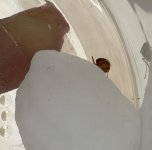 IMG_3389.jpeg