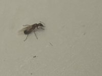 IMG_8930.jpeg
