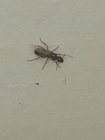 IMG_8929.jpeg